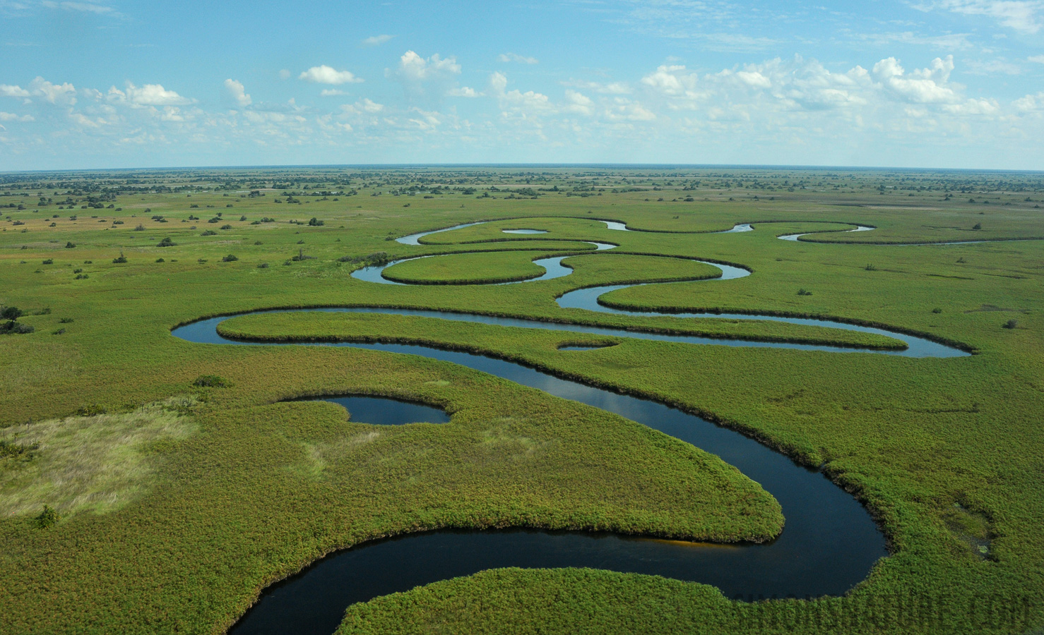 Okavango Delta May 2014 [28 mm, 1/4000 sec at f / 8.0, ISO 1600]